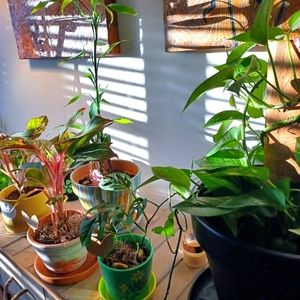 Meet your Posher, Tammy